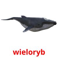 wieloryb picture flashcards