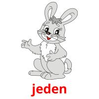jeden picture flashcards