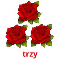 trzy card for translate
