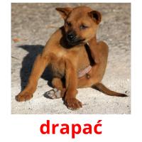 drapać picture flashcards