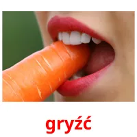 gryźć picture flashcards