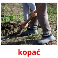 kopać picture flashcards