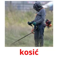 kosić picture flashcards