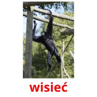 wisieć picture flashcards