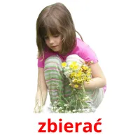 zbierać picture flashcards