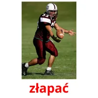 złapać picture flashcards