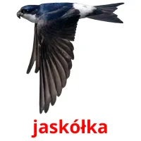 jaskółka ansichtkaarten