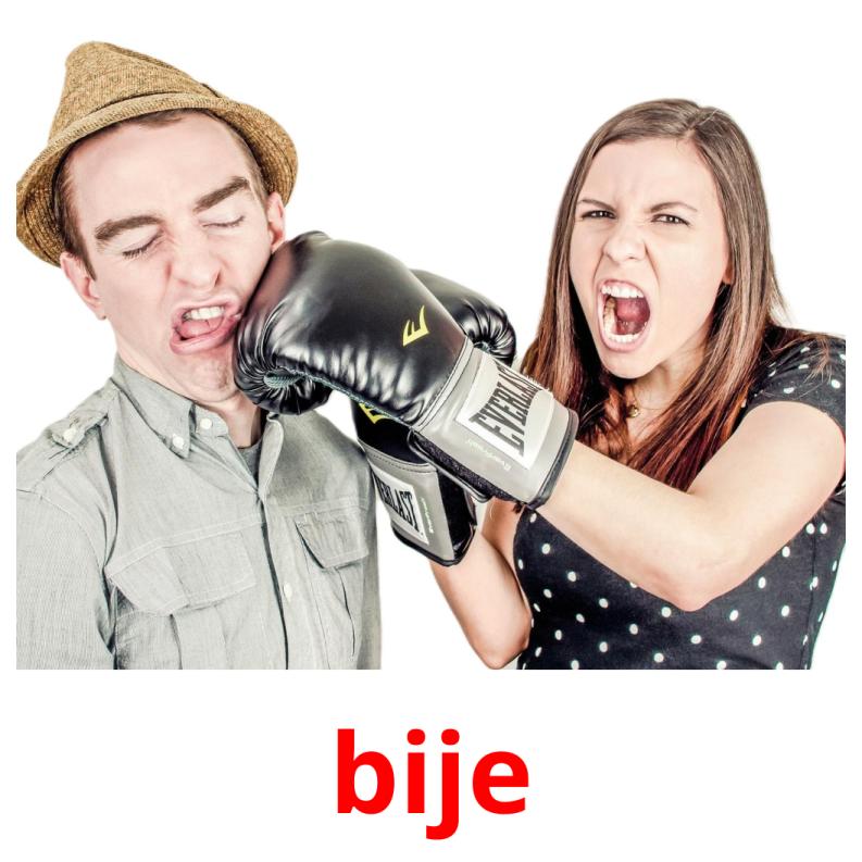 bije picture flashcards