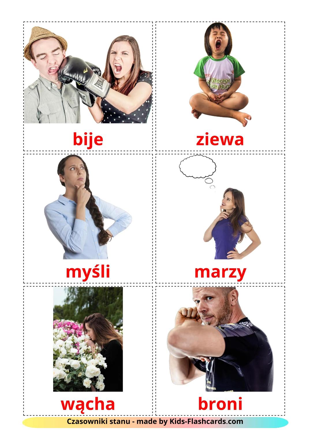 State verbs - 24 Free Printable polish Flashcards 