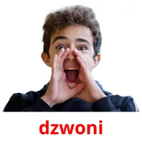 dzwoni picture flashcards