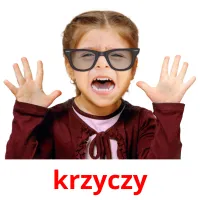 krzyczy picture flashcards