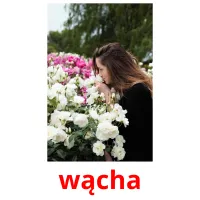 wącha picture flashcards