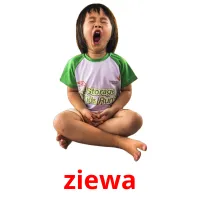 ziewa picture flashcards