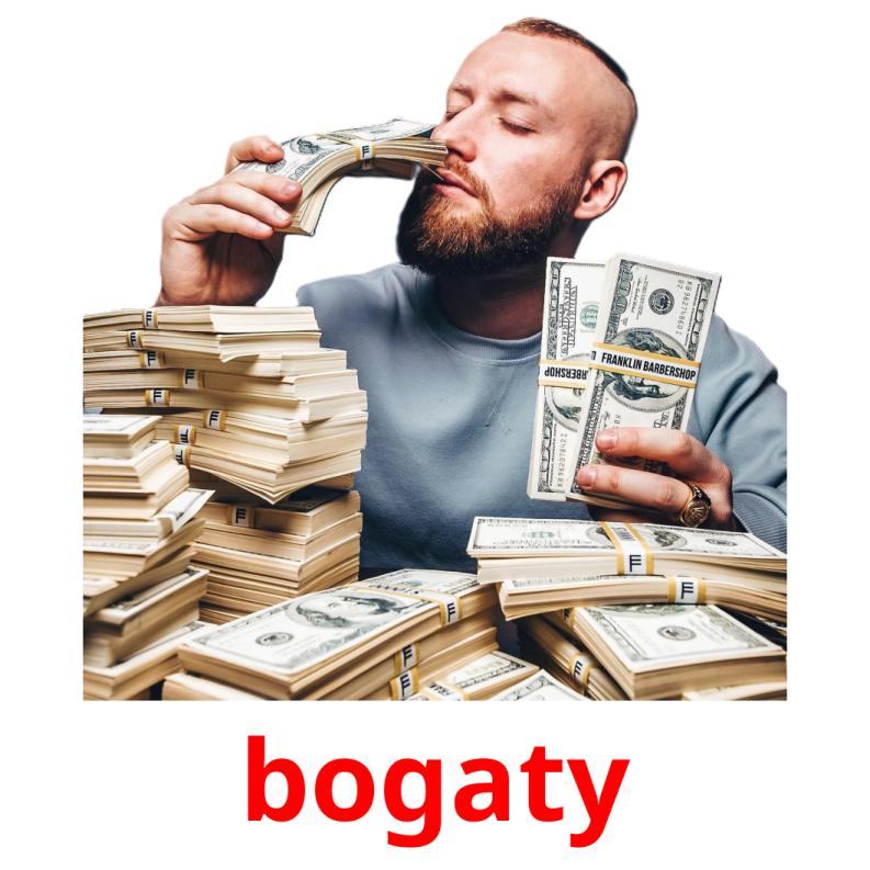 bogaty picture flashcards