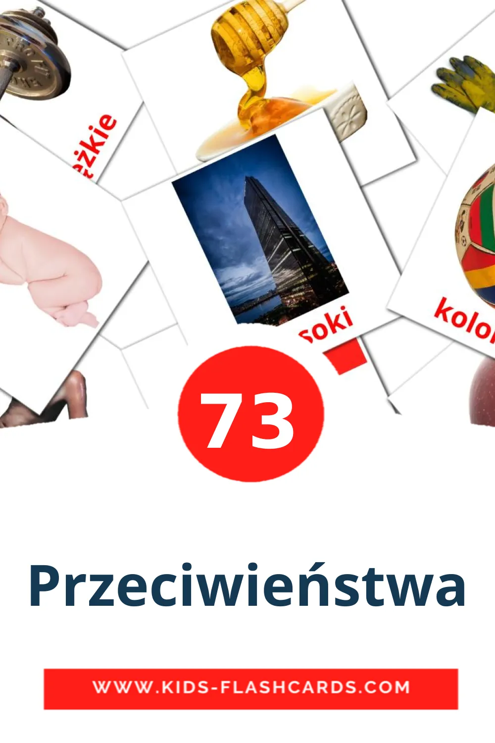 73 Przeciwieństwa Picture Cards for Kindergarden in polish