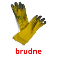 brudne picture flashcards