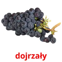 dojrzały picture flashcards