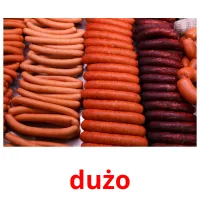 dużo picture flashcards