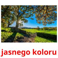jasnego koloru card for translate