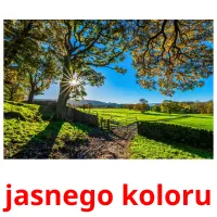 jasnego koloru picture flashcards