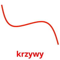 krzywy picture flashcards