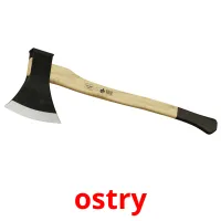 ostry picture flashcards