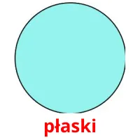 płaski picture flashcards