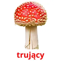 trujący picture flashcards