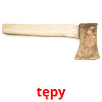 tępy picture flashcards