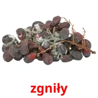 zgniły picture flashcards