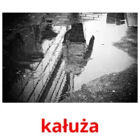 kałuża picture flashcards