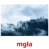 mgła picture flashcards