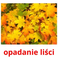 opadanie liści picture flashcards