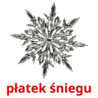 płatek śniegu picture flashcards