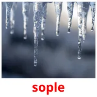 sople picture flashcards