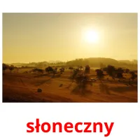 słoneczny picture flashcards