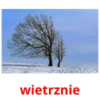 wietrznie picture flashcards