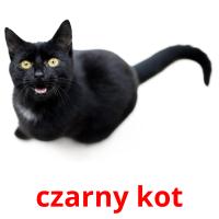 czarny kot cartões com imagens