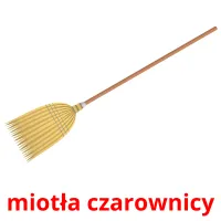 miotła czarownicy Bildkarteikarten