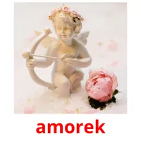 amorek picture flashcards