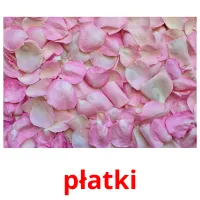 płatki picture flashcards