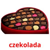 czekolada Bildkarteikarten