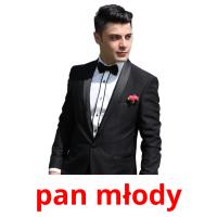 pan młody picture flashcards
