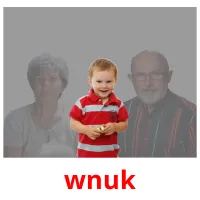 wnuk карточки энциклопедических знаний