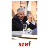 szef picture flashcards