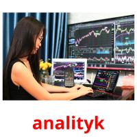 analityk picture flashcards
