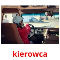 kierowca cartões com imagens