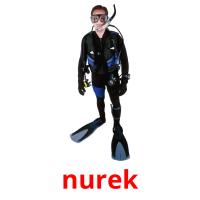 nurek picture flashcards