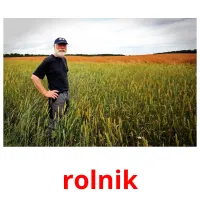 rolnik cartões com imagens