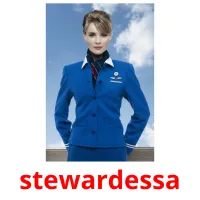 stewardessa cartões com imagens